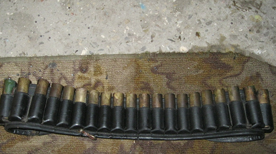 PM674image002