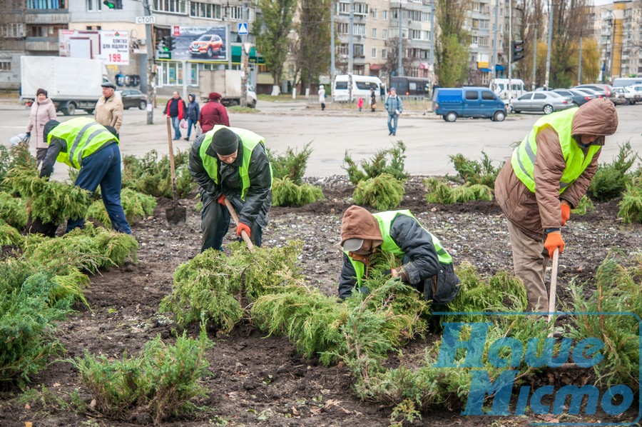 "Зеленстрой" Днепра продолжает озеленять город. Новости Днепр