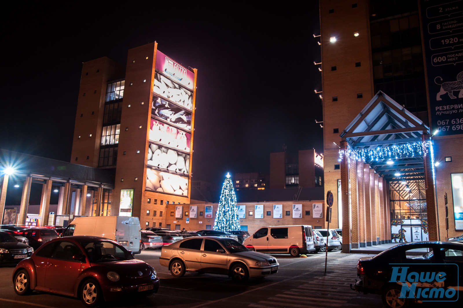 Первая елка в Днепре (ФОТО). Новости Днепр