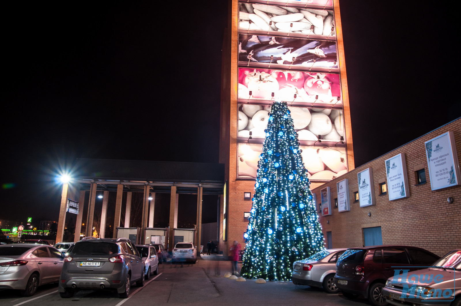 Первая елка в Днепре (ФОТО). Новости Днепр