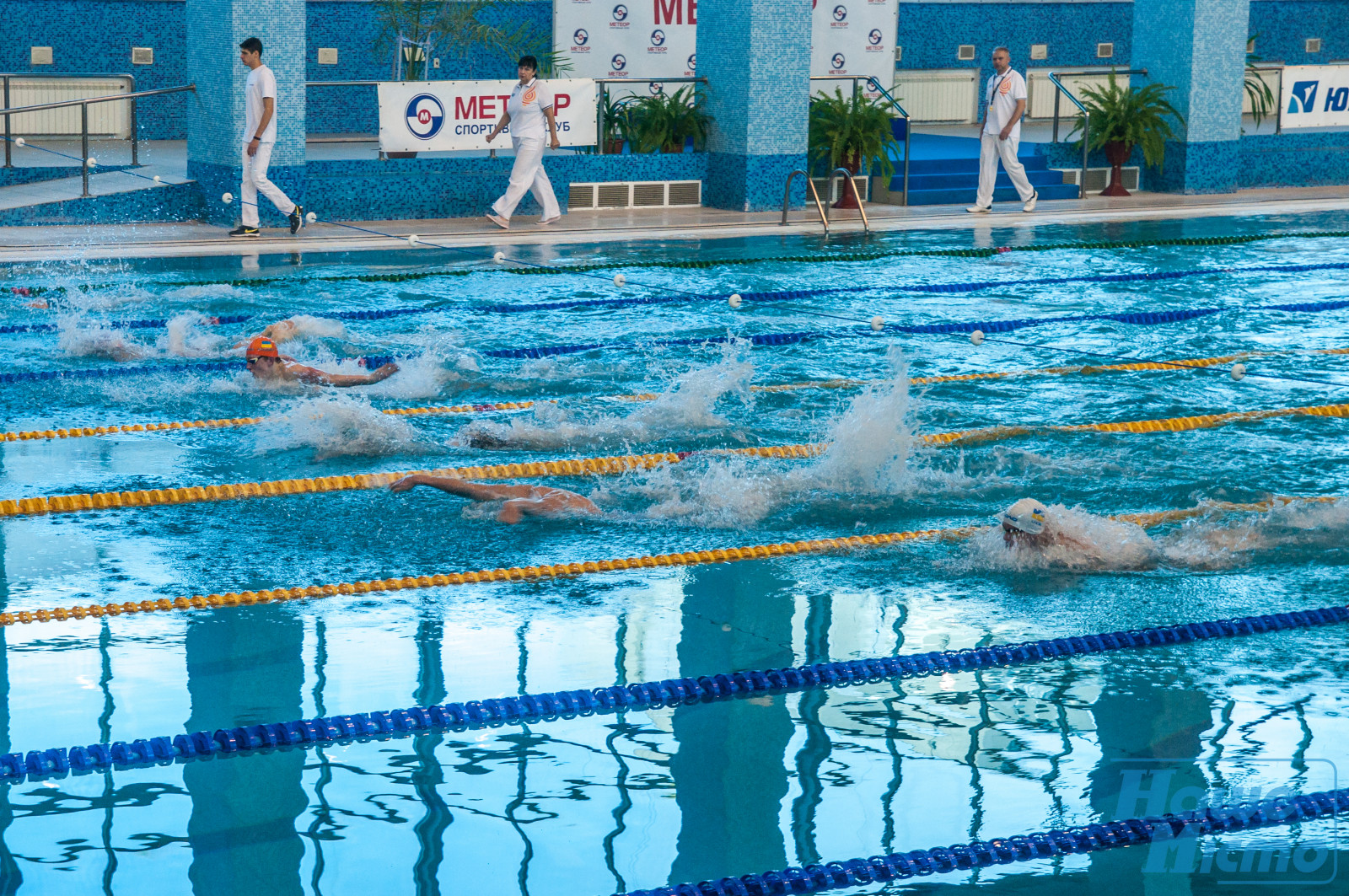 В Днепре стартовал чемпионат Украины по плаванию. Новость Днепр