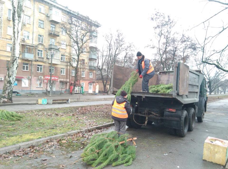 С улиц Днепра начали убирать брошенные елки. Новости Днепр