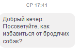 Днепр поддержал всеукраинскую акцию «Живодёра Святогора за решётку» (ФОТО). Новости Днепра.