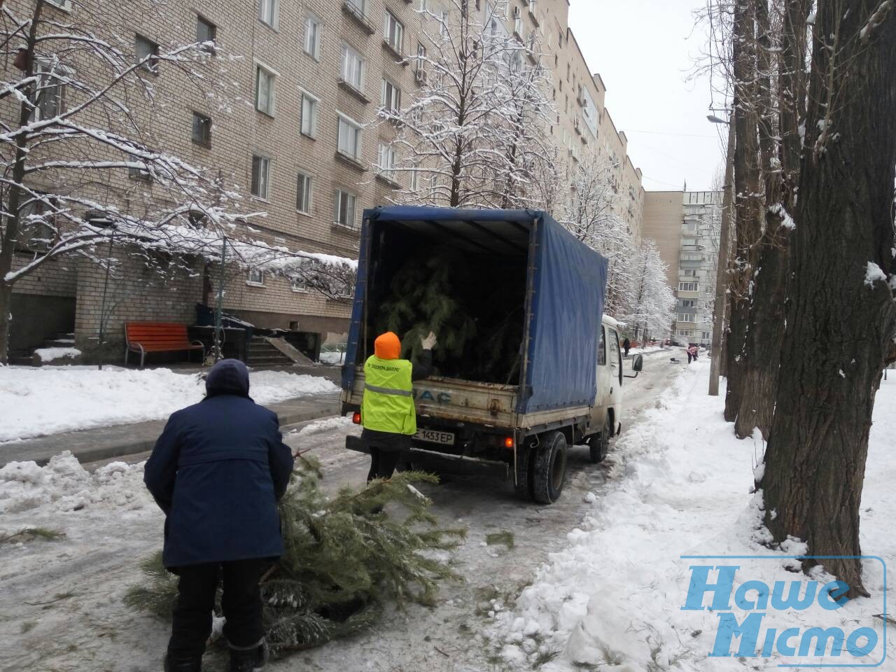 В Днепре показали, что происходит с брошенными елками (ФОТО, ВИДЕО). новости Днепра