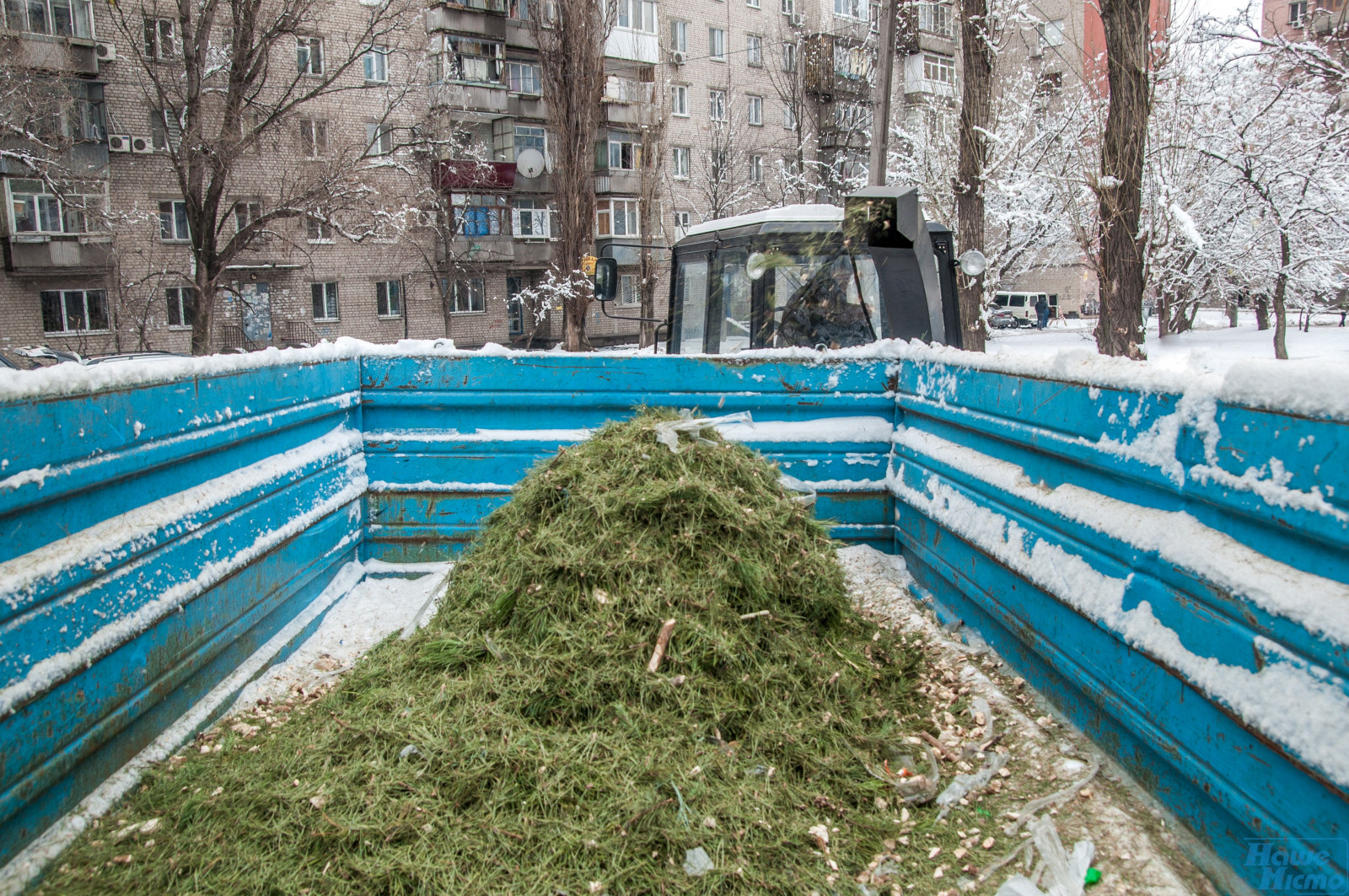 В Днепре показали, что происходит с брошенными елками. Новости Днепра