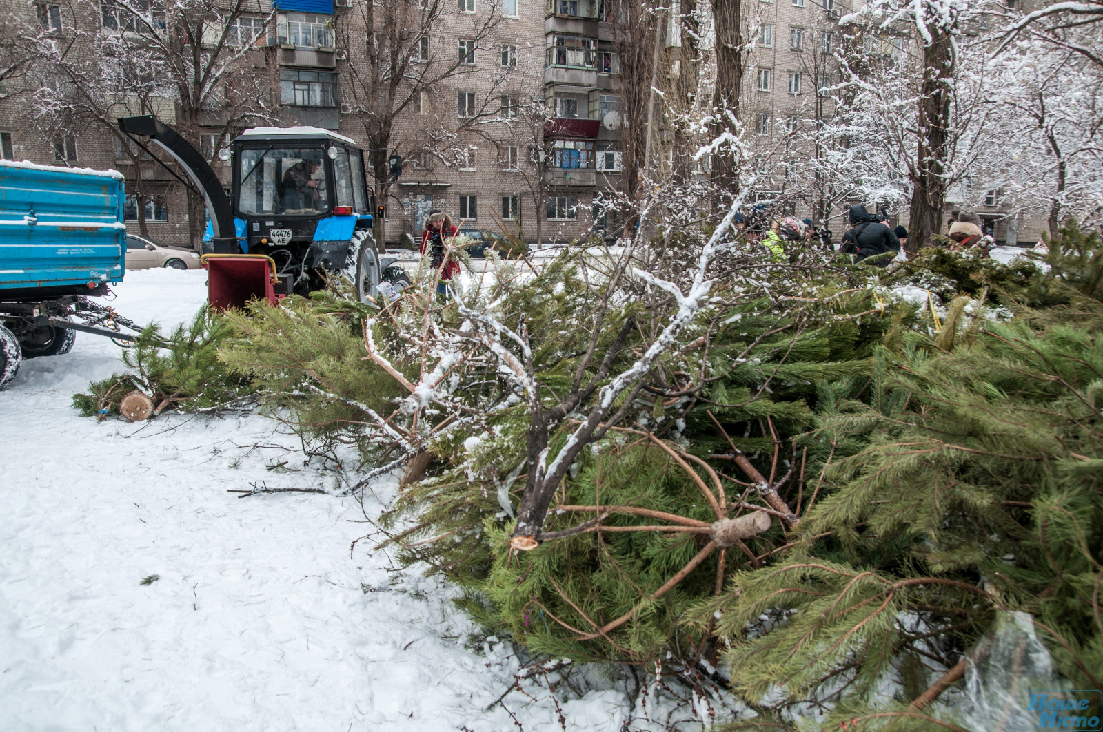 В Днепре показали, что происходит с брошенными елками. Новости Днепра