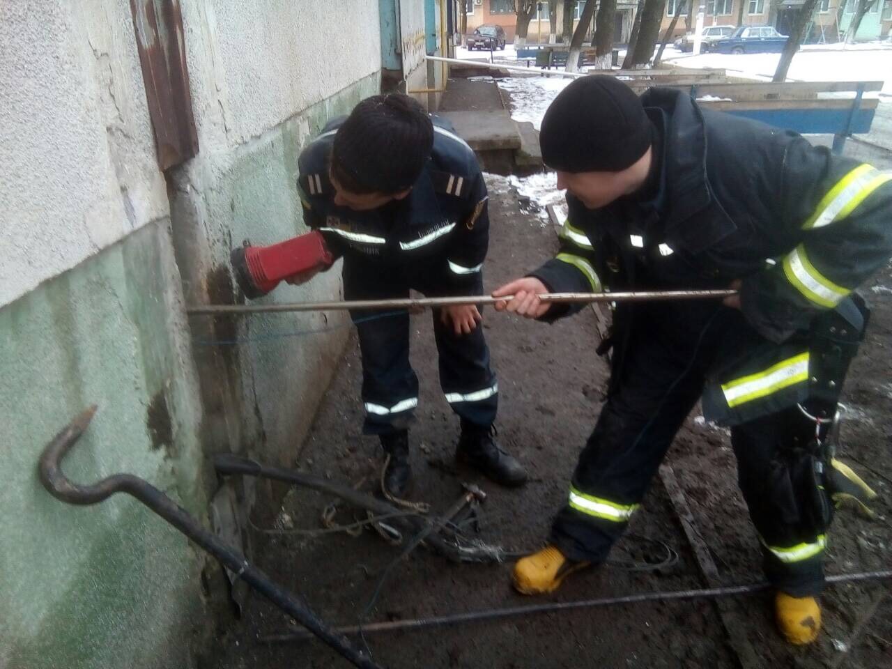 В Прощеное воскресенье чудесное спасение таксы на Днепропетровщине (ФОТО). новости Днепра