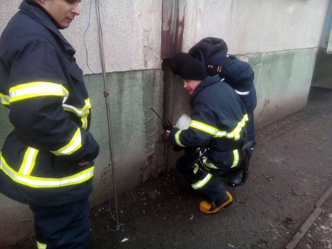 В Прощеное воскресенье чудесное спасение таксы на Днепропетровщине (ФОТО). новости Днепра