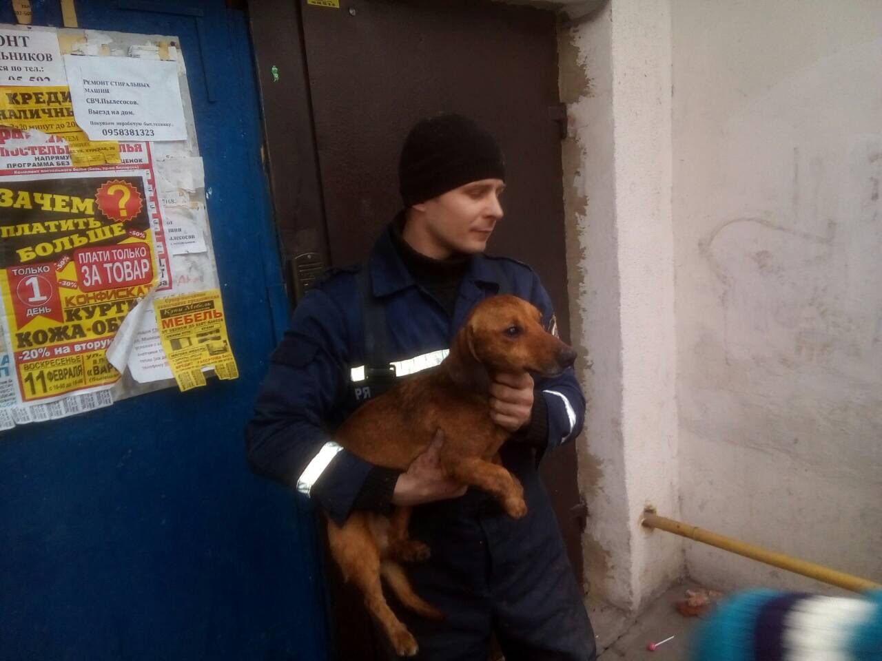 В Прощеное воскресенье чудесное спасение таксы на Днепропетровщине (ФОТО). новости Днепра