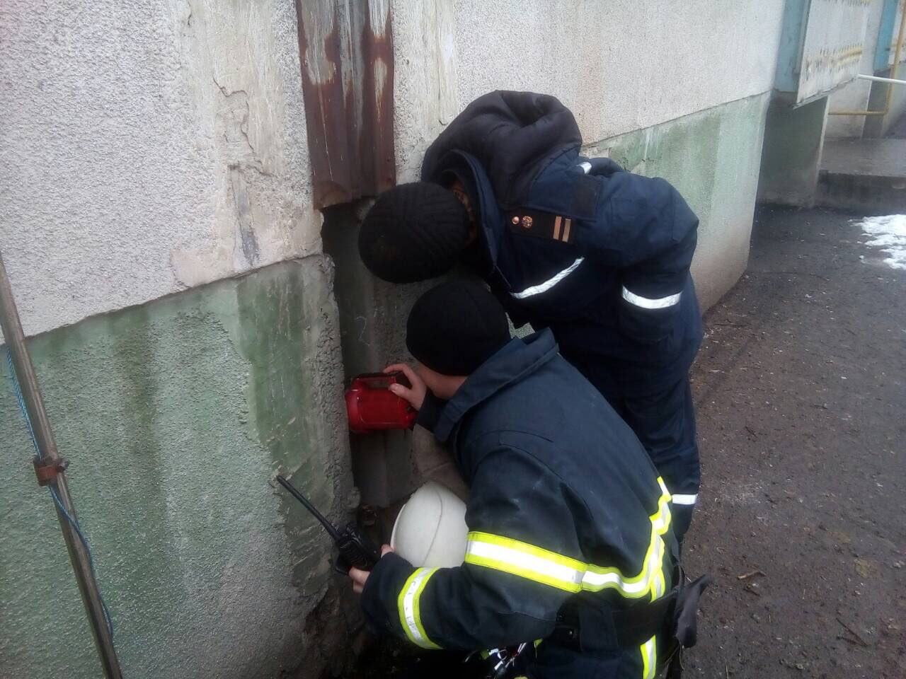 В Прощеное воскресенье чудесное спасение таксы на Днепропетровщине (ФОТО). новости Днепра