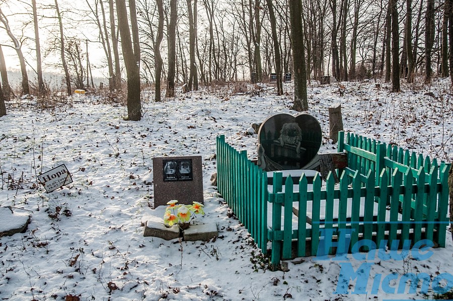 Могилка для бобика в Днепре. Новости Днепра