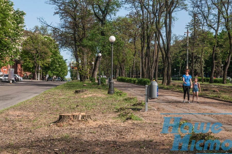 Какие деревья и по какому принципу обрезают в Днепре. Новости Днепра