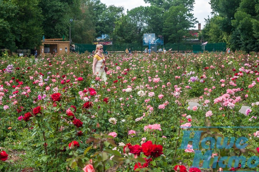 Неизвестные факты центрального парка Днепра. Новости Днепра