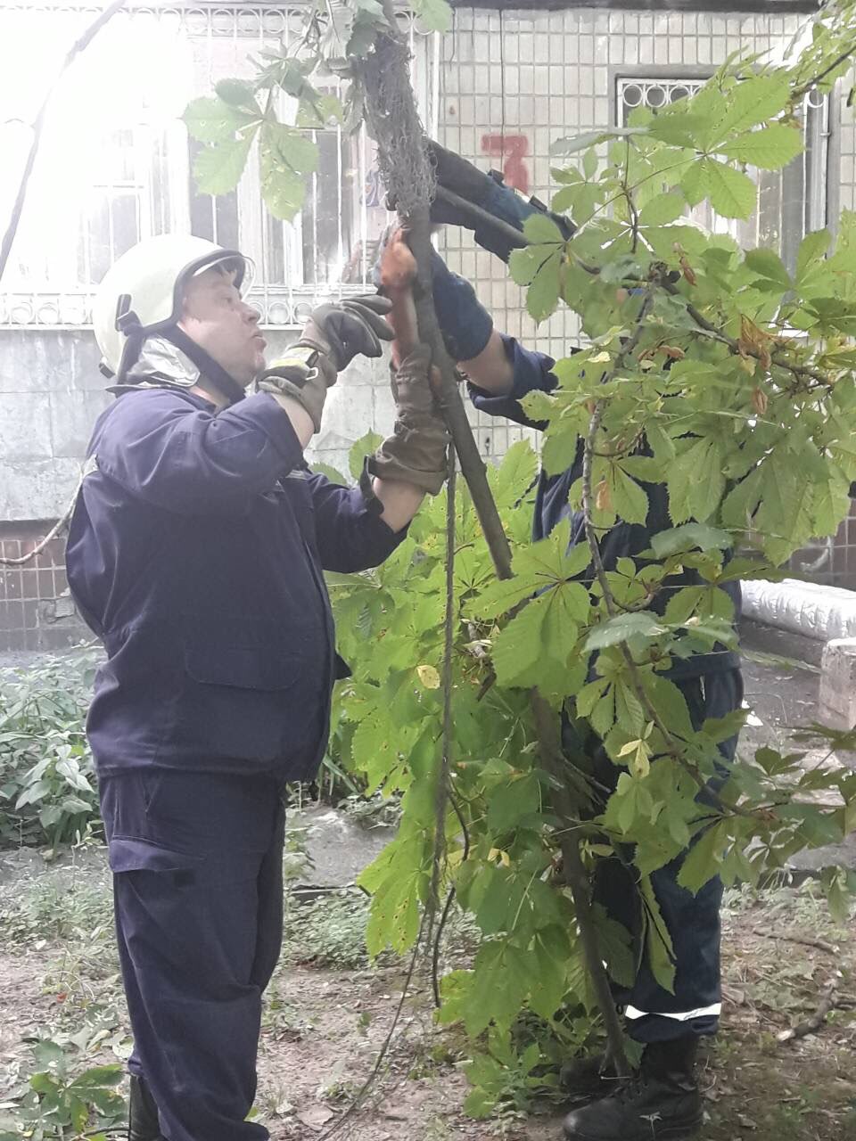 Операция "спаси белку": спасатели Днепра вызволяли зверька из петли. Новости Днепра