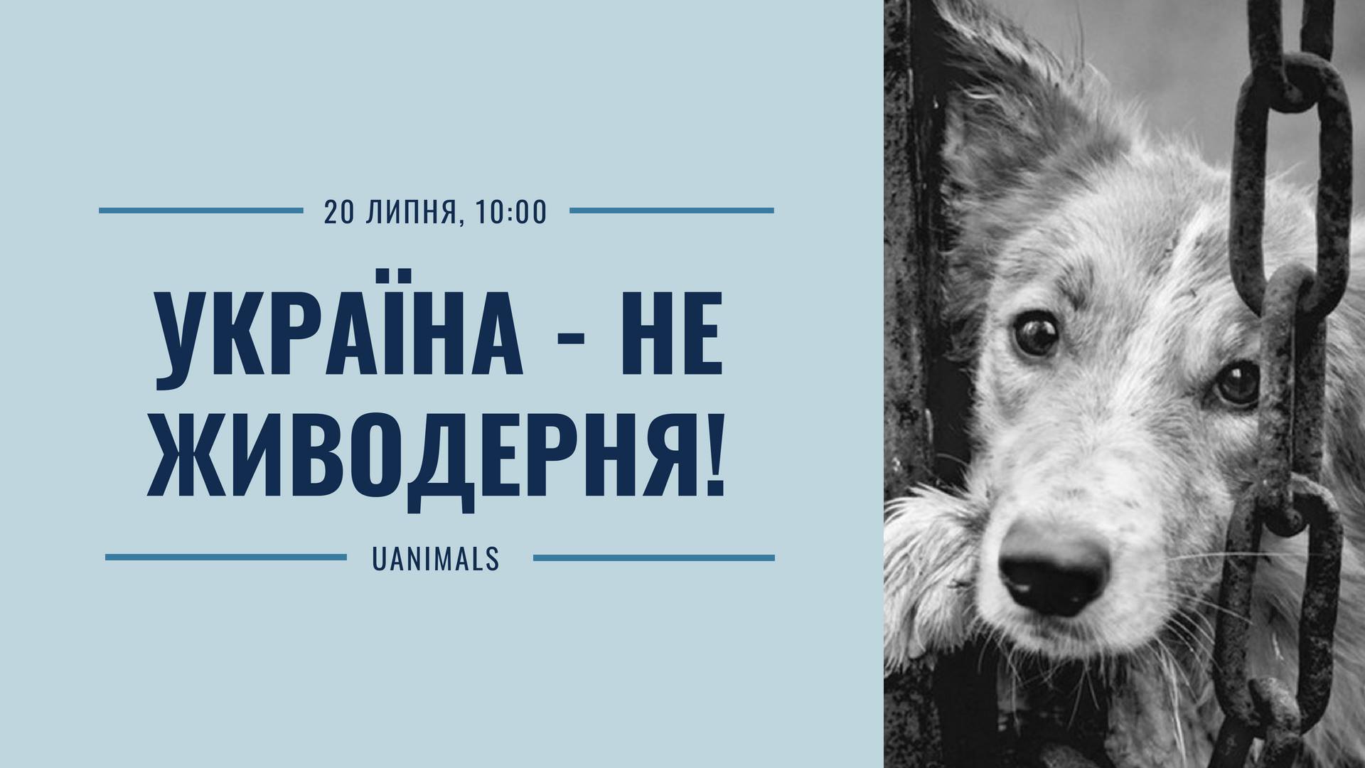 Сегодня днепряне выйдут на митинг. Новости Днепра