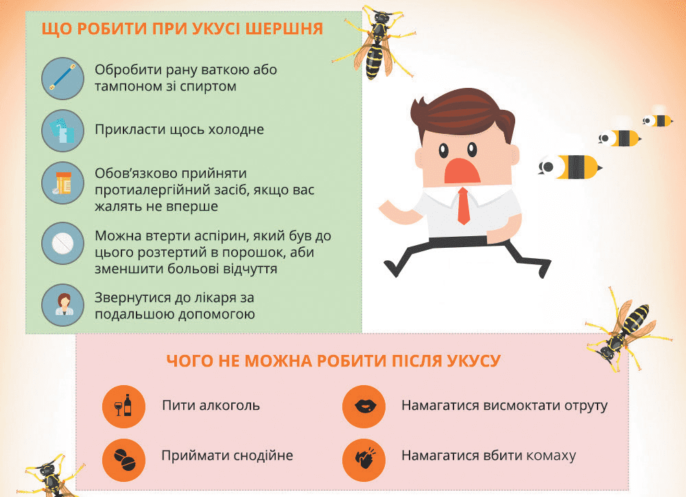 В Днепре осы вышли на охоту. Новости Днепра