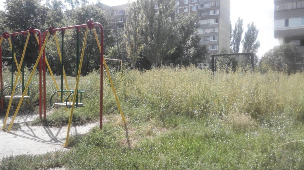 Куда днепрянам жаловаться на заросли амброзии. Новости Днепра