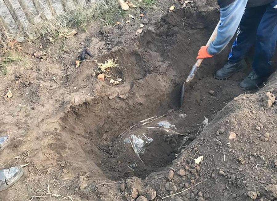 Кладбище серийного убийцы: под Днепром на огороде подозреваемого нашли еще 4 трупа (фото). Новости Днепра