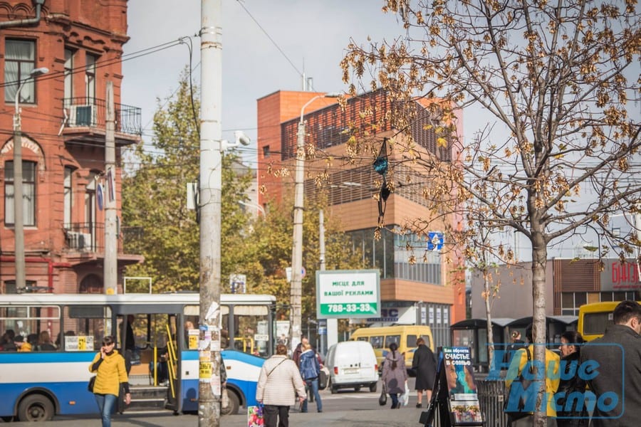 В Днепре деревья начали носить лифчики. Новости Днепра