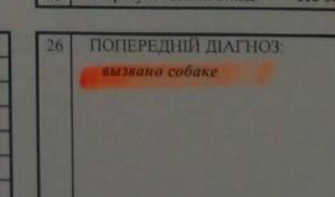 Днепрянин среди ночи вызвал "неотложку" для собаки. Новости Днепра