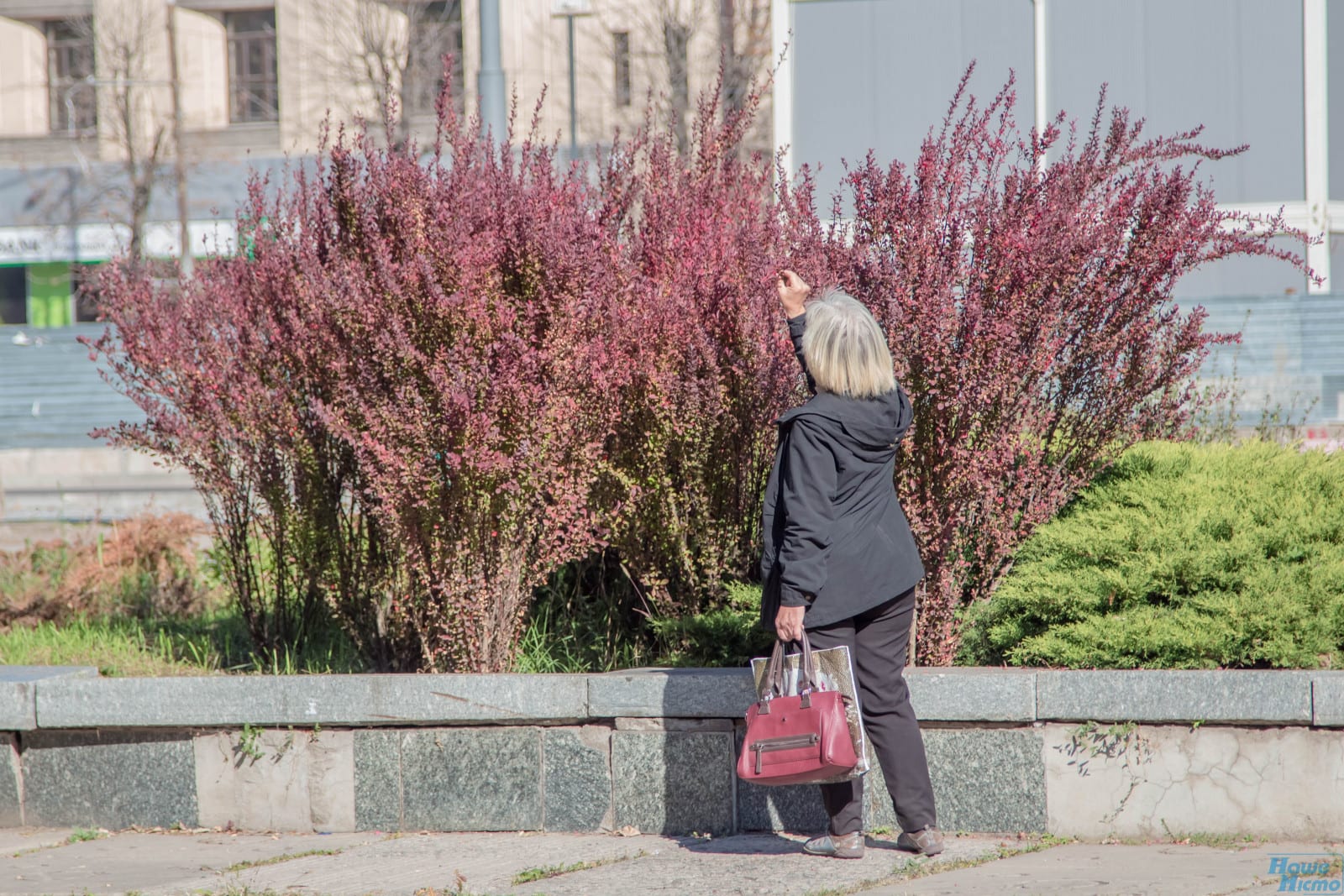 В Днепре аномально теплая осень: горожане достали футболки и шорты (Фото). Новости Днепра