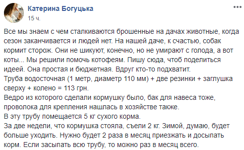 В Днепре придумали необычную кормушку для брошенных котов. Новости Днепра