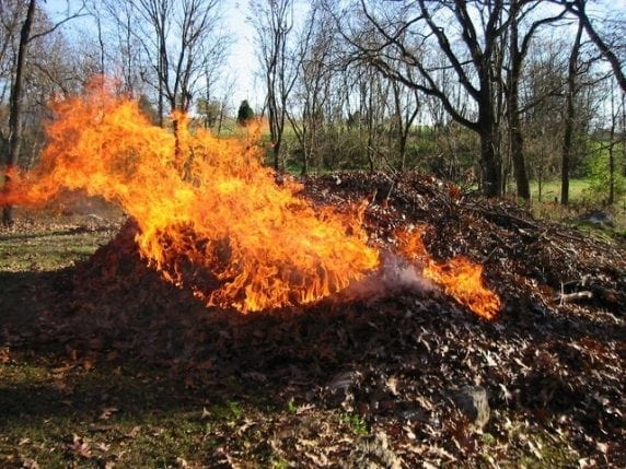 В Днепре поджигателей листвы штрафуют по полной. Новости Днепра