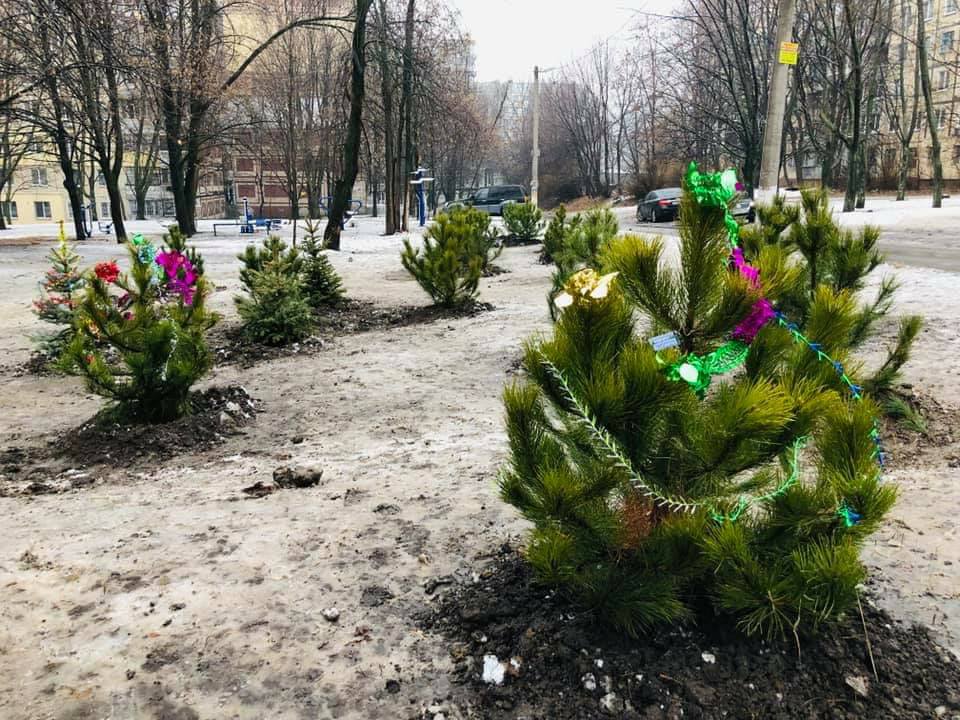 Сажали семьями: в Днепре создали настоящий хвойный сад. Новости Днепра