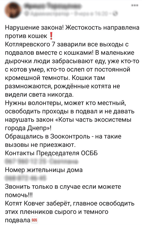 В Днепре между "котолюбами" и горожанами разгорелась война. Новости Днепра