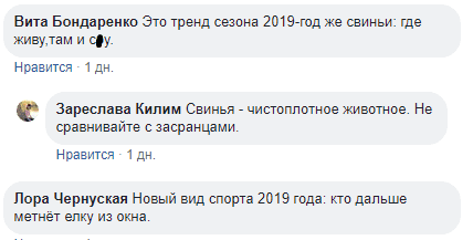 Тренд сезона: в Днепре новогодние елки опасно висят на деревьях. Новости Днепра