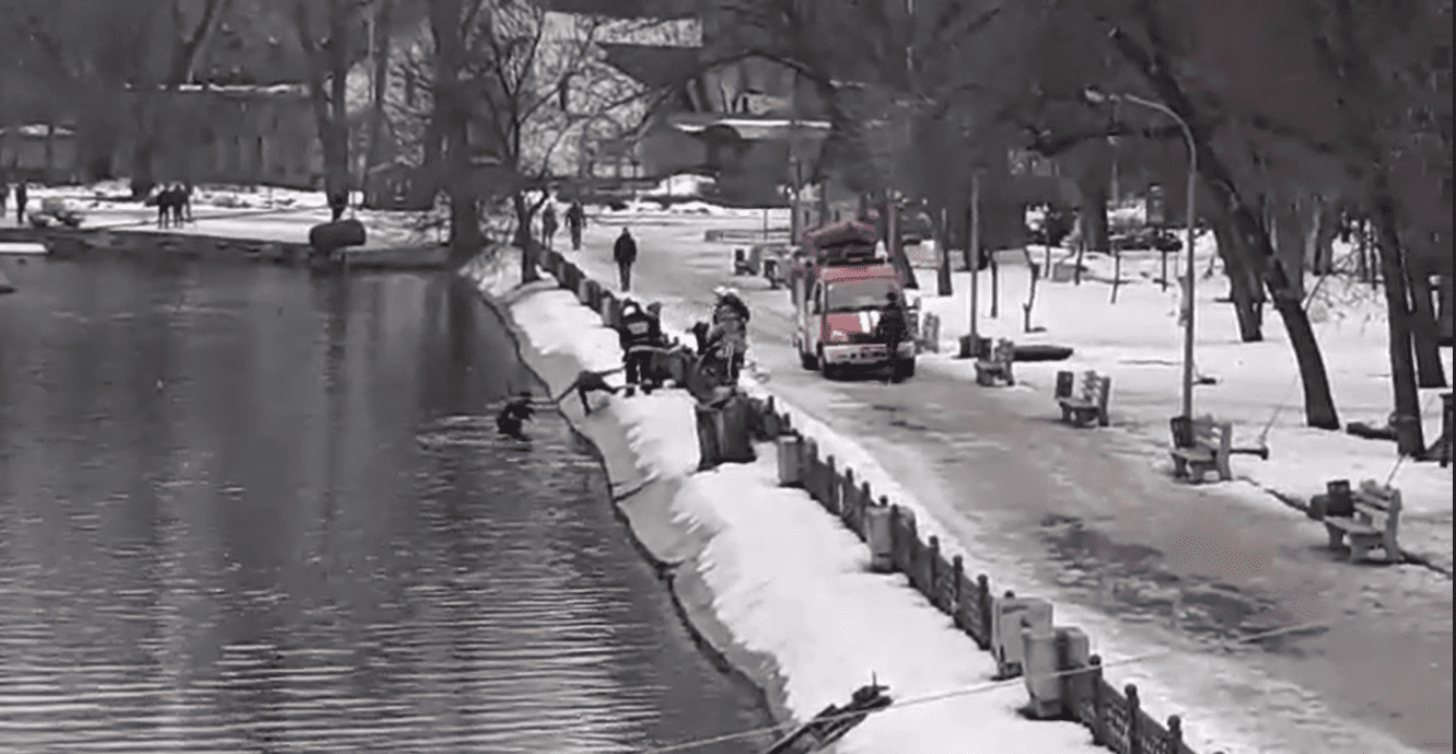 Самоотверженный днепрянин бросился в ледяную воду ради дворняжки (Видео). Новости Днепра