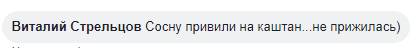 Тренд сезона: в Днепре новогодние елки опасно висят на деревьях. Новости Днепра