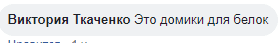 Тренд сезона: в Днепре новогодние елки опасно висят на деревьях. Новости Днепра