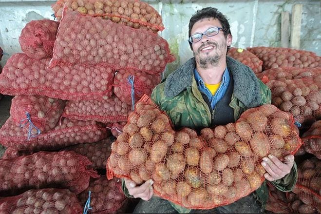 Картошка будет золотой: цены в Днепре бьют рекорды, и это еще не предел. Новости Днепра