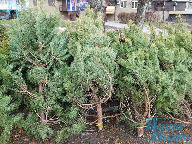 В Днепре на замену МАФам придут стильные киоски. Новости Днепра