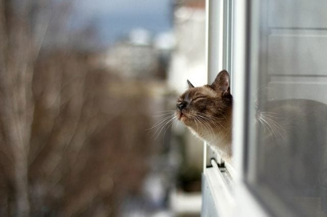 В Днепре наступила метеорологическая весна. Новости Днепра
