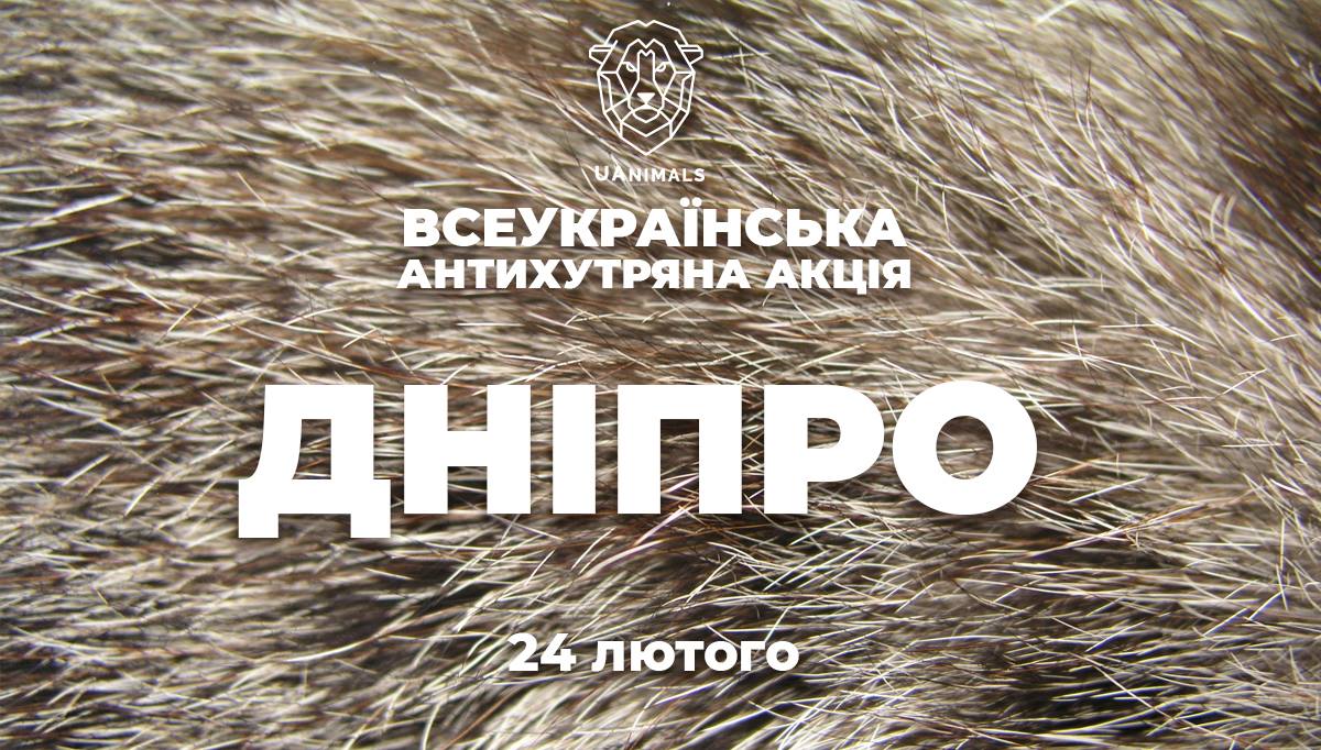 В Днепре лисица Гермиона «рассказала», почему стоит отказаться от меха. Новости Днепра