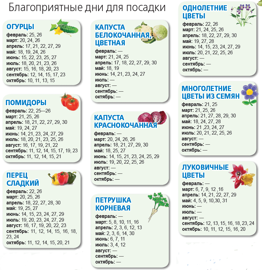 Огородникам Днепра на заметку: посевной календарь-2019. Новости Днепра