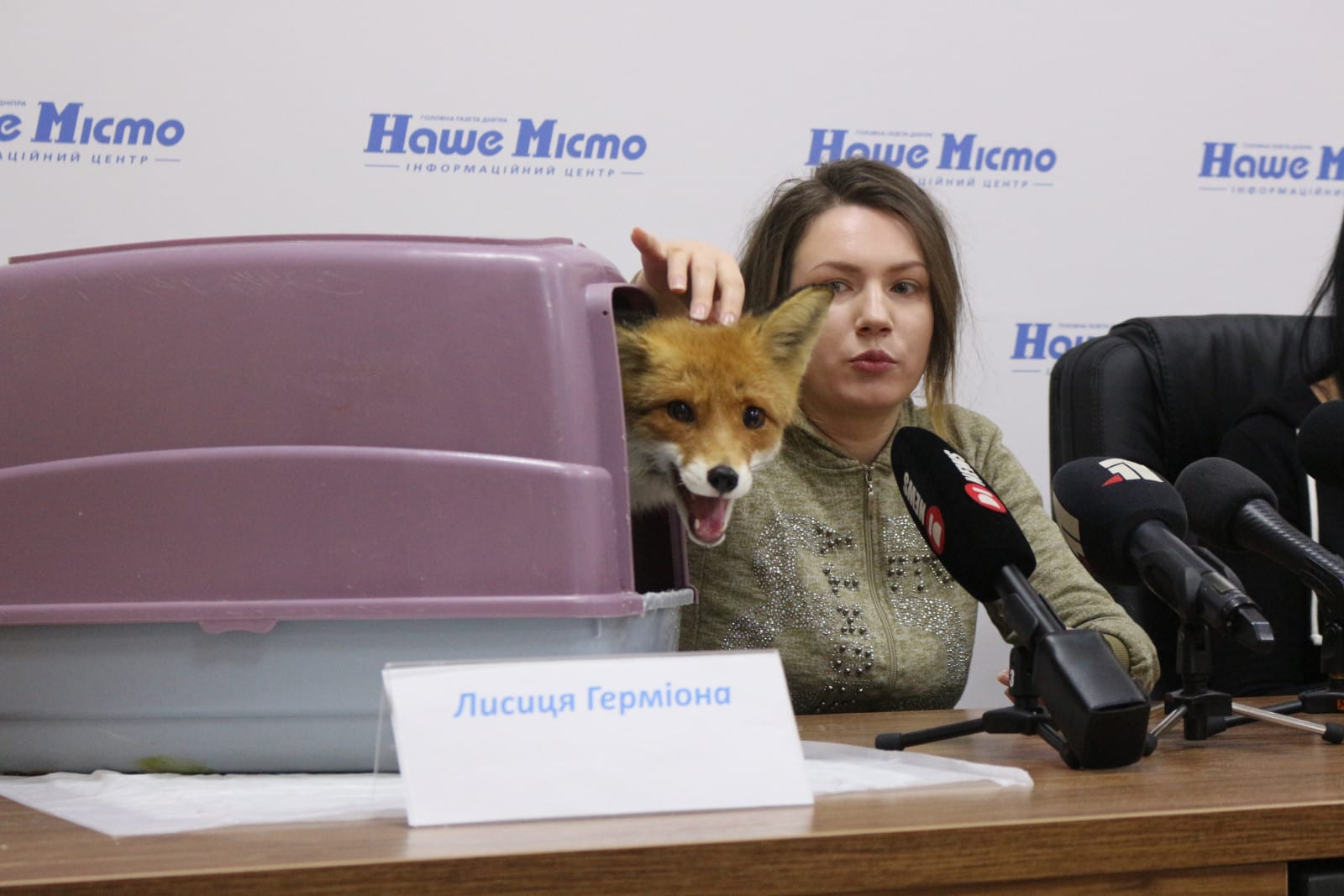 В Днепре лисица Гермиона «рассказала», почему стоит отказаться от меха. Новости Днепра