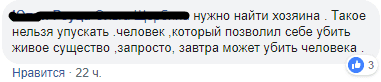 Под Днепром труп собаки тянулся несколько станций за составом: активисты ищут живодёра. Новости Днепра