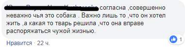 Под Днепром труп собаки тянулся несколько станций за составом: активисты ищут живодёра. Новости Днепра