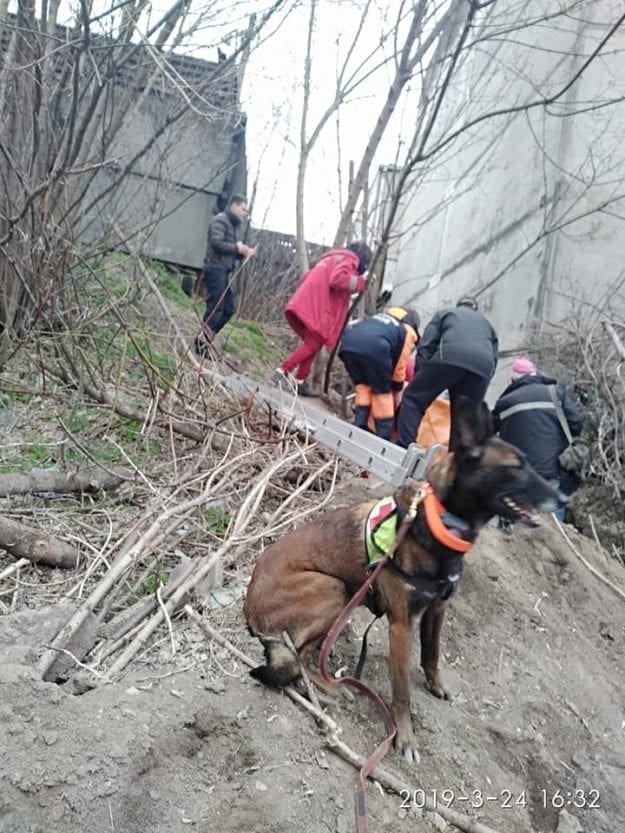 В Днепре собака нашла женщину, просидевшую в яме 3 суток. Новости Днепра