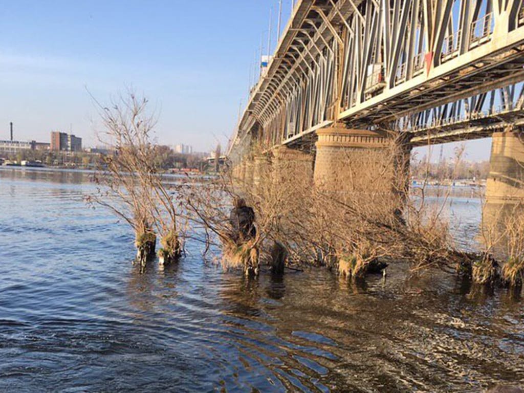 Неудавшийся самоубийца: в Днепре мужчина прыгнул с моста и застрял в кустах (ФОТО). Новости Днепра