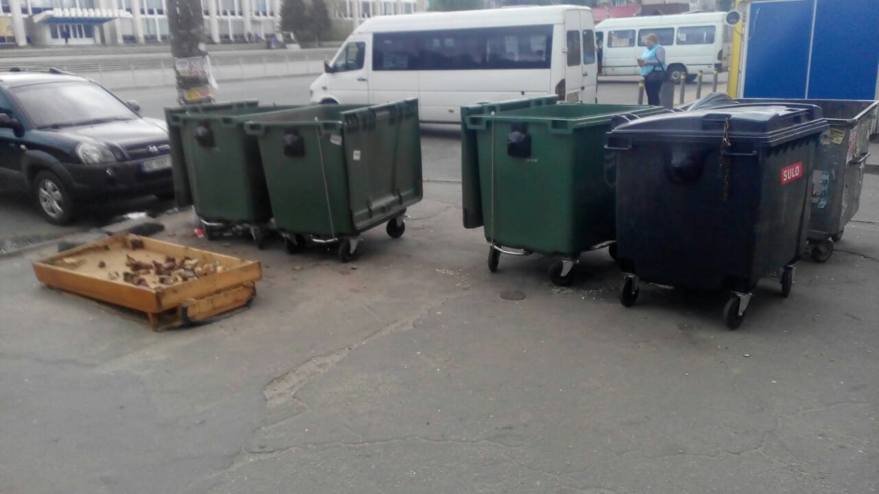 В Днепре появилась огромная кормушка для птиц и бездомных (Фото). Новости Днепра