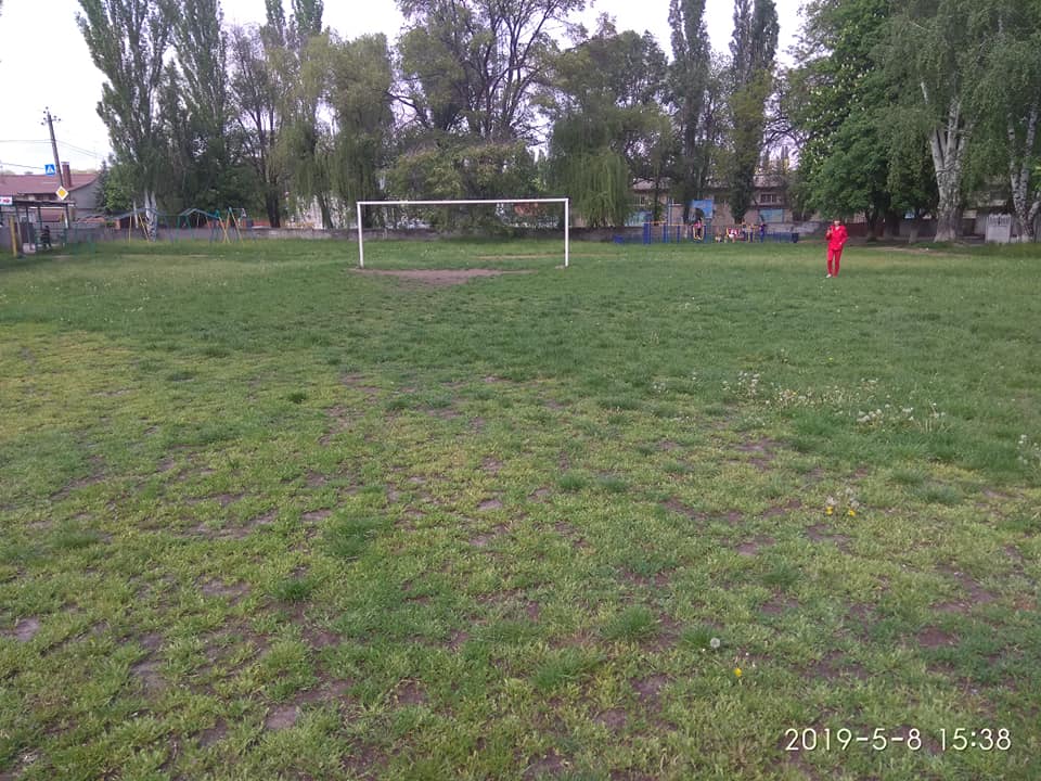 На Днепропетровщине опасные тарантулы захватили школьный стадион (Фото). Новости Днепра