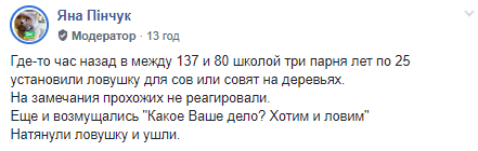 В Днепре на Тополе неизвестные собрались уничтожить сов (ФОТО). Новости Днепра