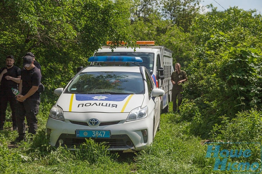 Между живодерней и бизнесом: в Днепре у пенсионерки изъяли 35 измученных собак (ФОТО). Новости Днепра