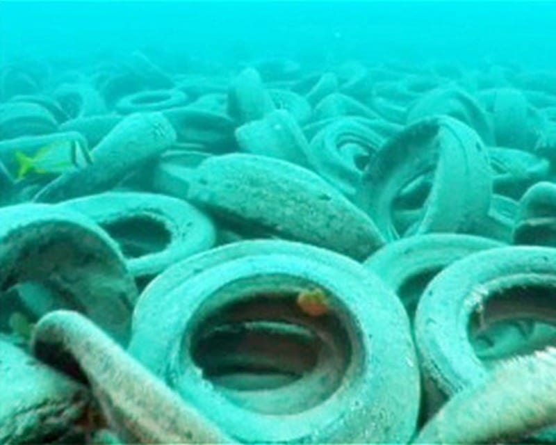 Колоссальная угроза Азовскому морю: в Бердянске в воду сбрасывают шины (Фото). Новости Днепра