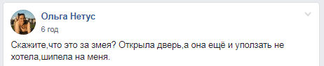 В Днепре громадная змея заползла во двор и угрожала хозяевам страшным шипением (ФОТО). Новости Днепра