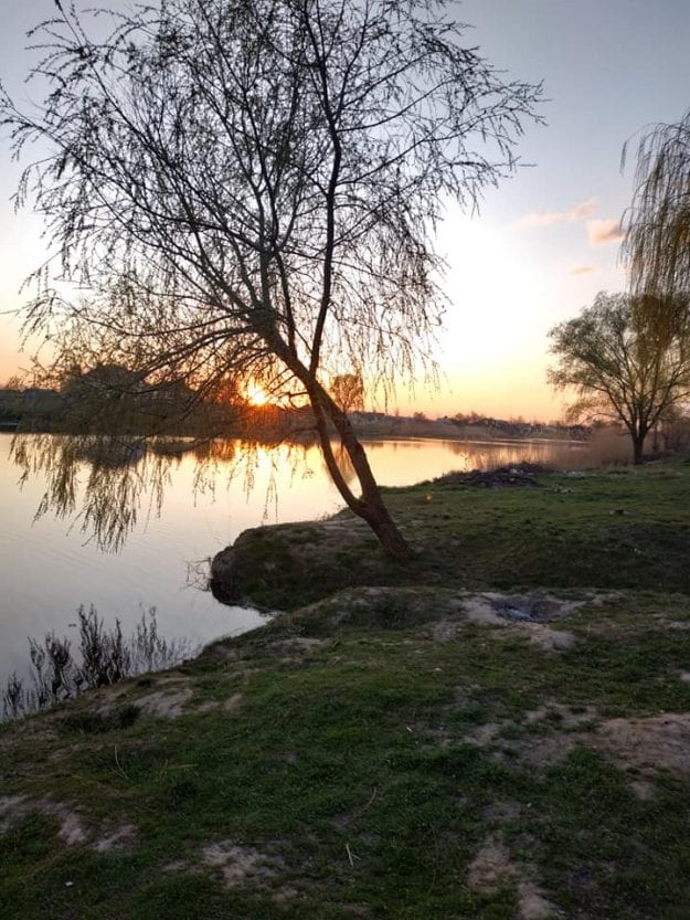 В АНД-районе Днепра есть сказочное место: глаз не отвести (ФОТО). Новости Днепра